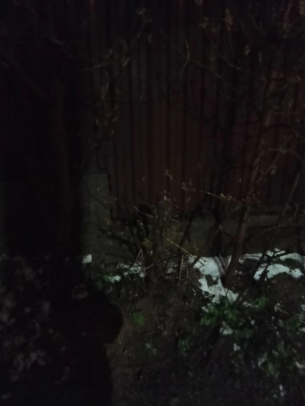 IMG 20260427 214035 660