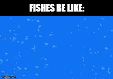 Meme 62