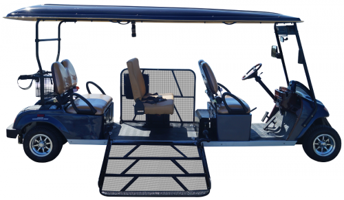 Handicap Golf Carts
