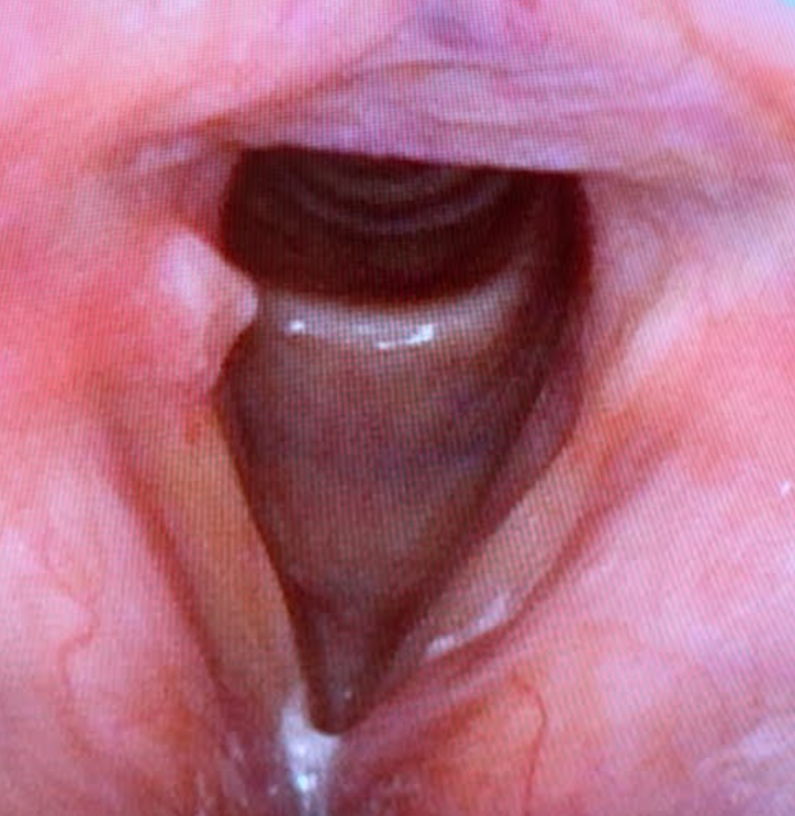 Screenshot 2026 04 01 103900