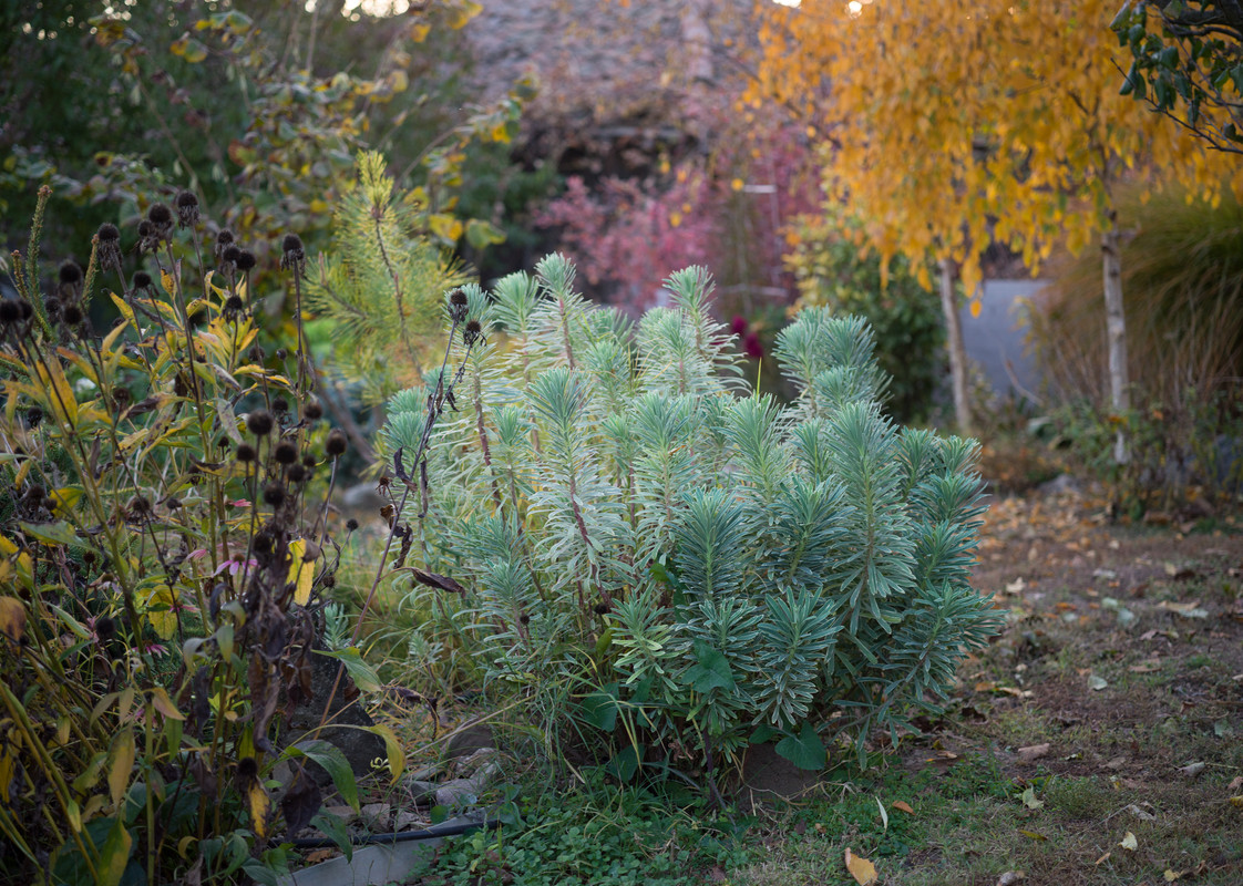 IMG-efdfaf5068fe9c15a64fa4057443187d-V