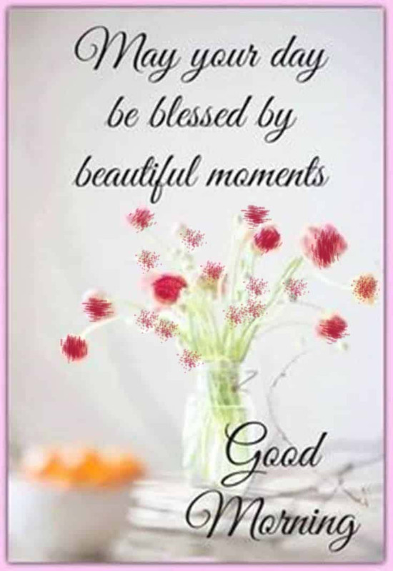 Have a Beautiful Day Good Day pictures, Good Day images, Good Day graphics, Good Day scraps, comments, Pics, Fotos, Photos, Facebook, Whatsapp, Instagram, Myspace, Hi5, Friendster and more day graphics