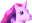 204