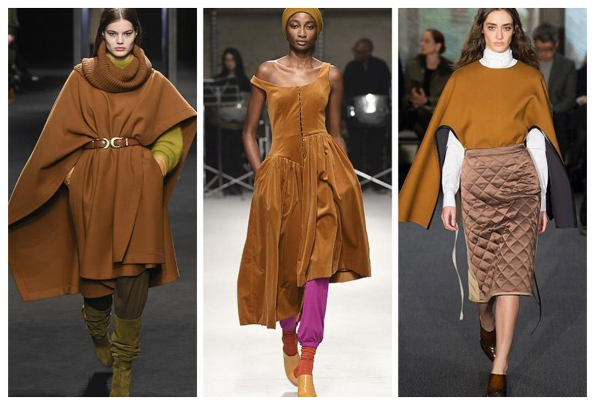 color trends