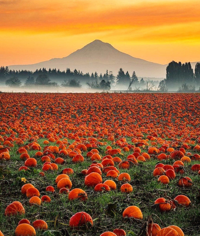 Screenshot_20231208_221910_Instagram