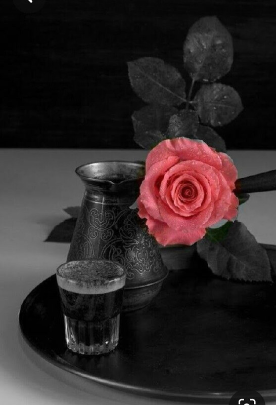 Screenshot_20230422_234326_Pinterest