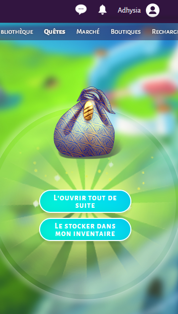 https://i.postimg.cc/DZHnbfTW/baluchon.png