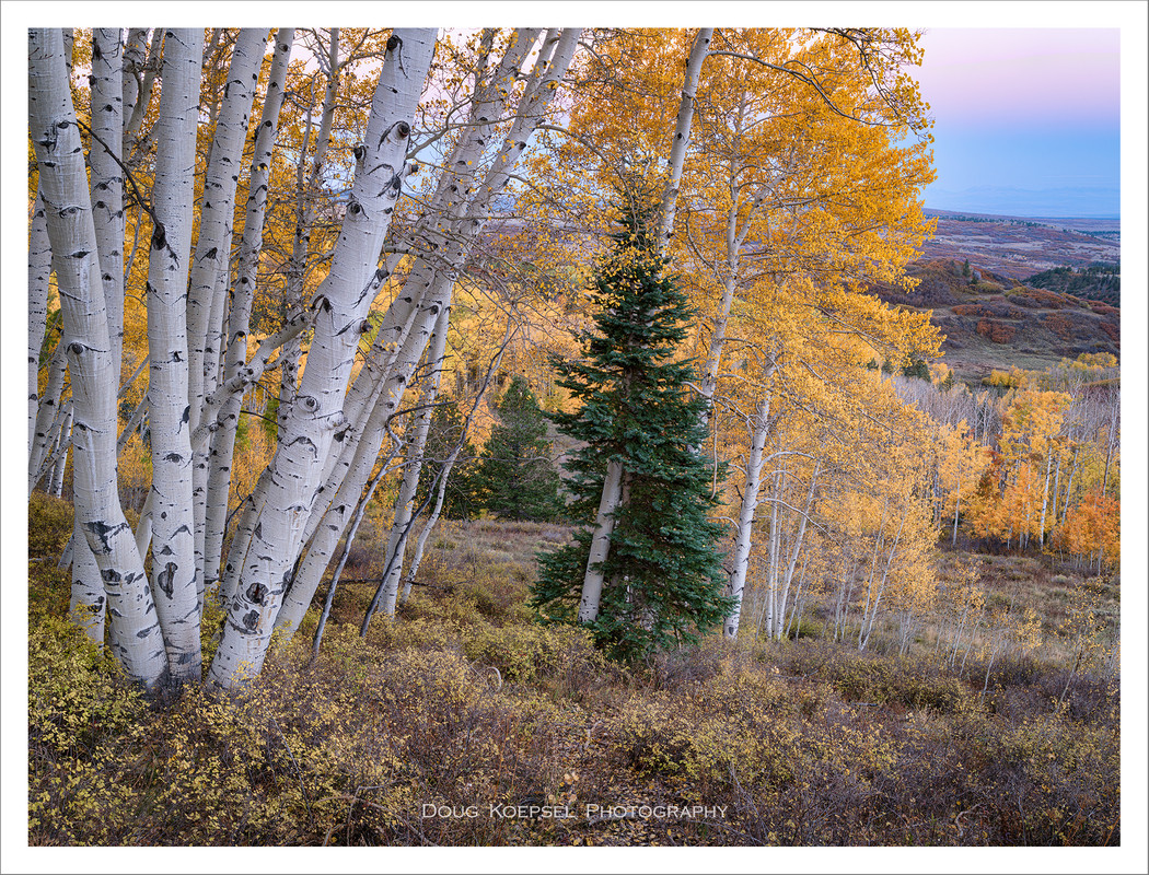 Ed2000-4x3TopazNik414-417 ZS PMax copy