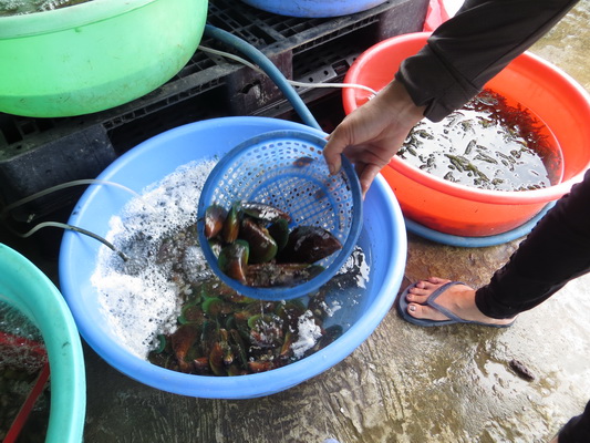 [Image: IMG-6365.jpg]