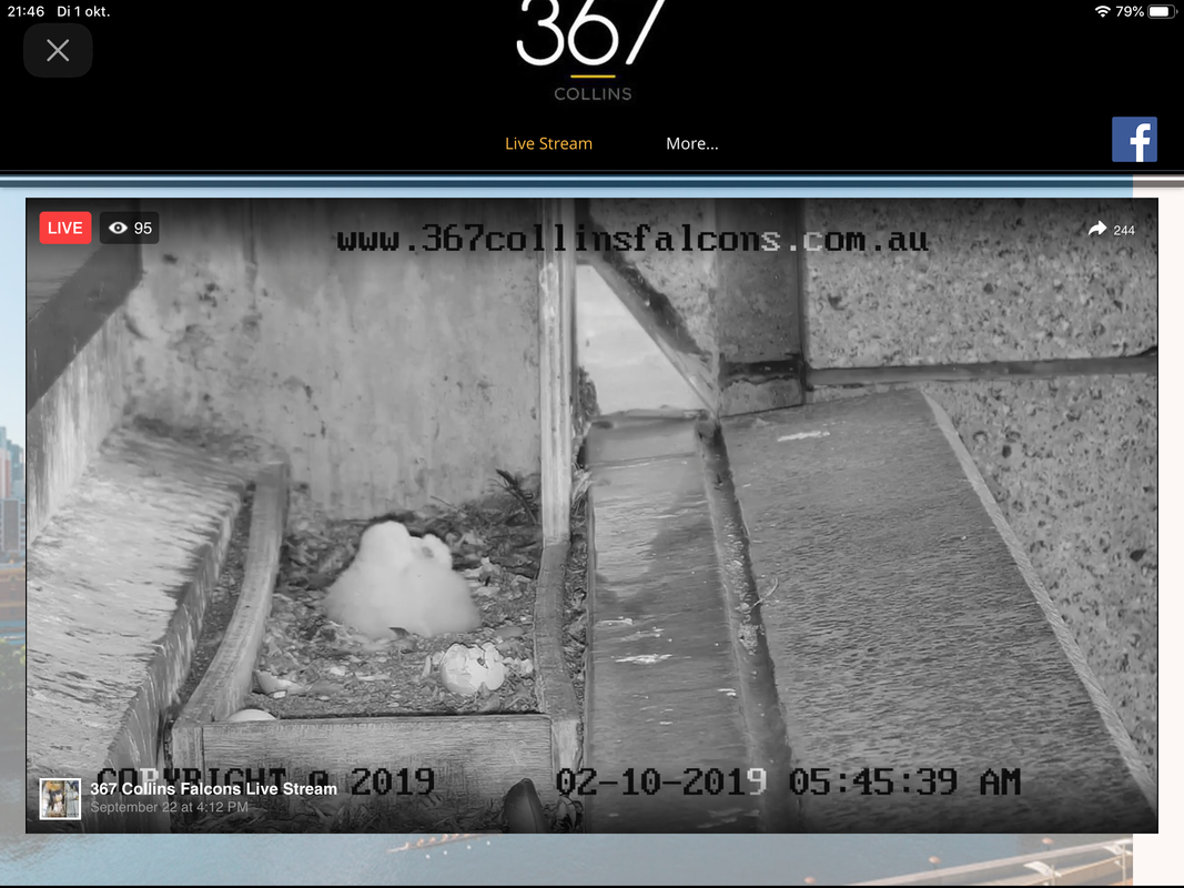 596C8F97-DD41-425E-B027-36390A5AB068