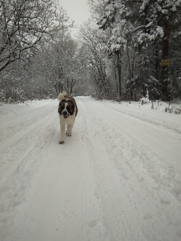 Зима 2021 год