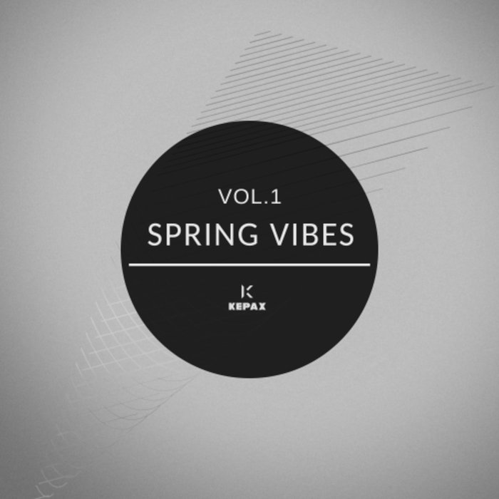 Spring Vibes Vol 1 (2020) mp3 320 Kbps