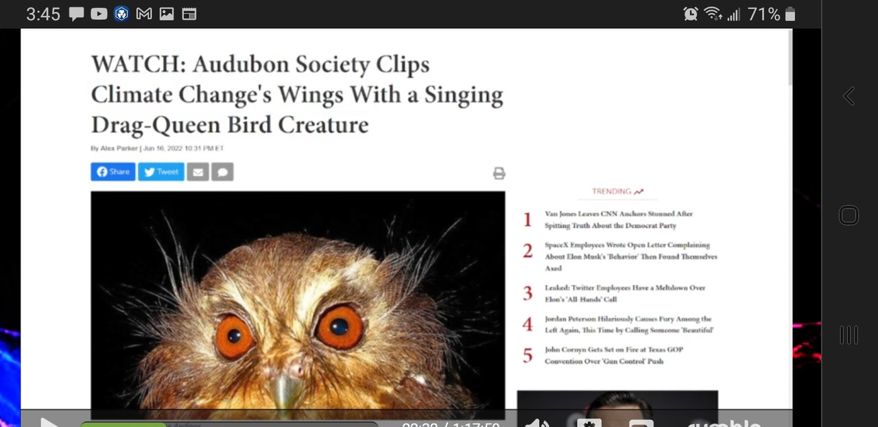 Screenshot_20220619-034540_Chrome