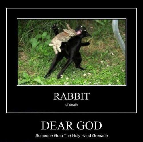 cat-rabbit-of-death.jpg