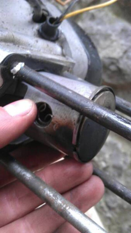 11074687_842765129094251_663292780_n