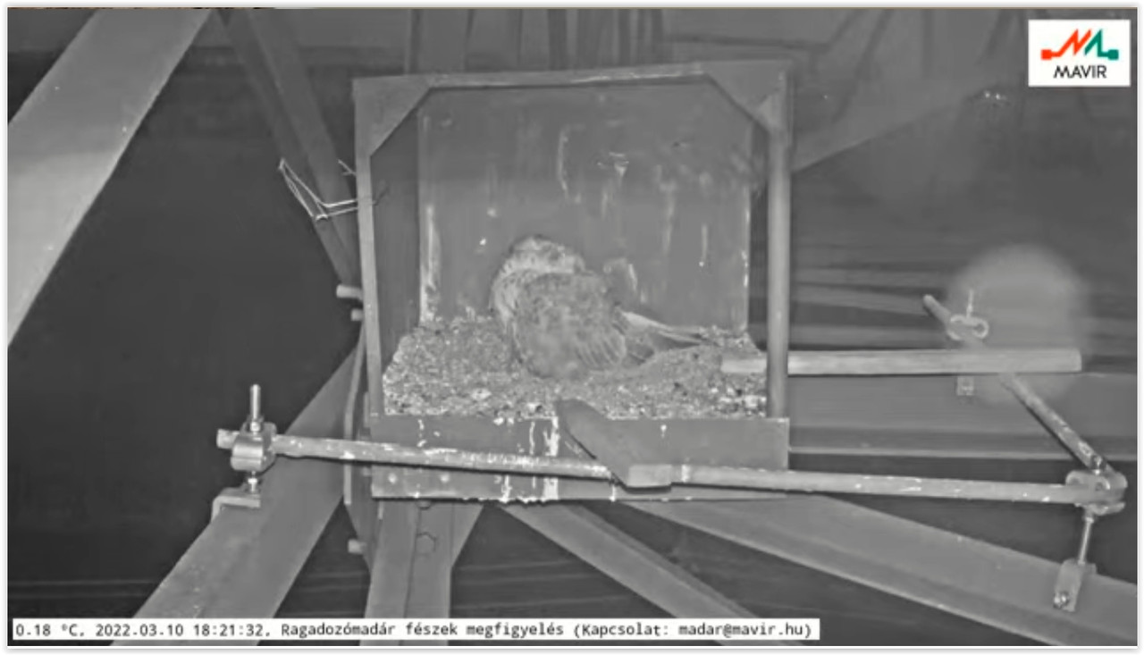 Screen Shot 03-10-22 at 06.22 PM