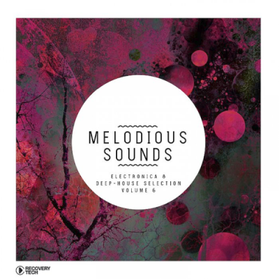 VA - Melodious Sounds Vol. 6 (2019)