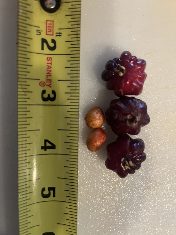 B503E90F-9839-4BF2-9F8F-02B148C4CFF1