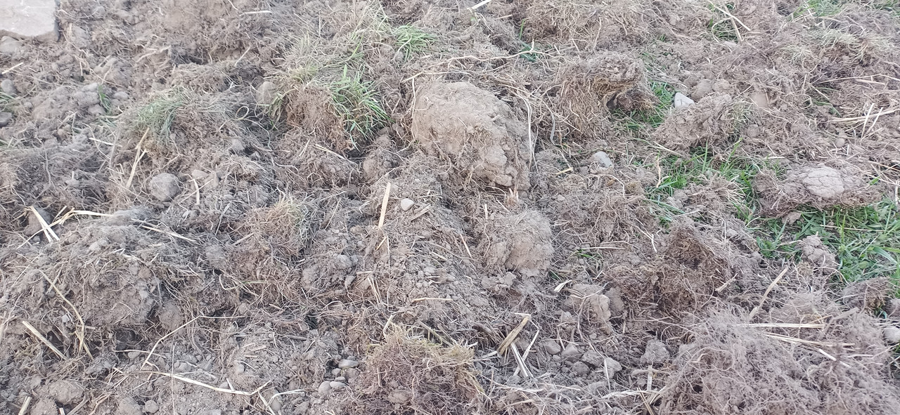 IMG_20250416_191631_674