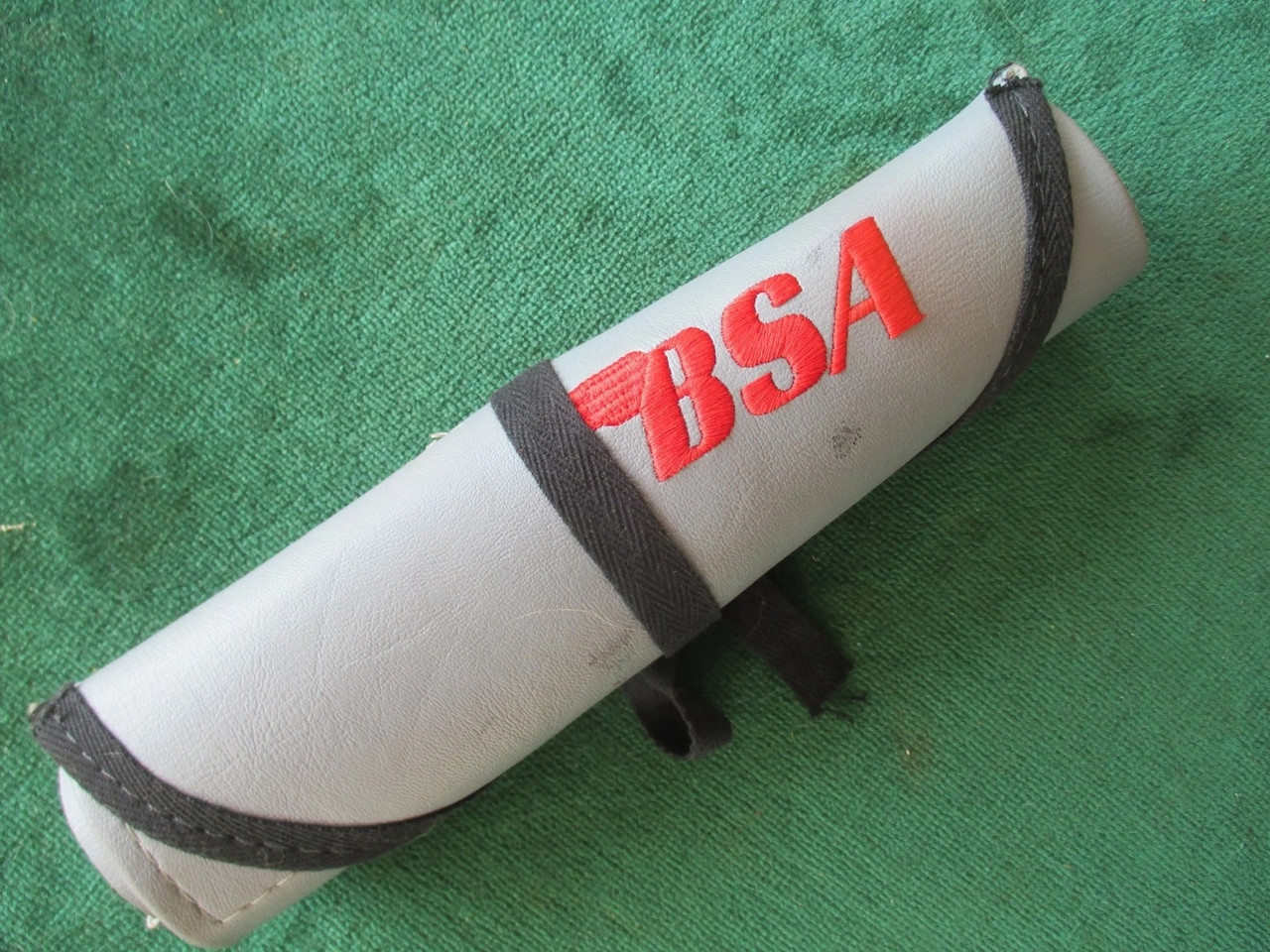 BSA logo copy
