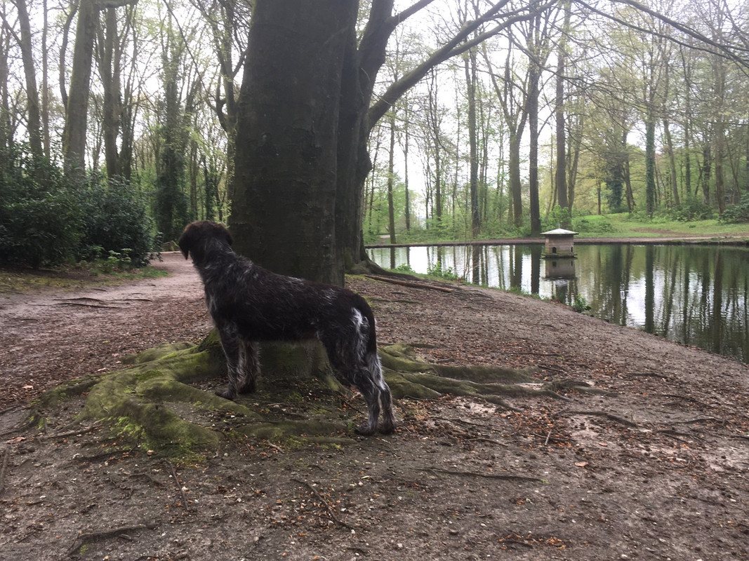 2024-10-04 Claire achter boom IMG_3522 (002)