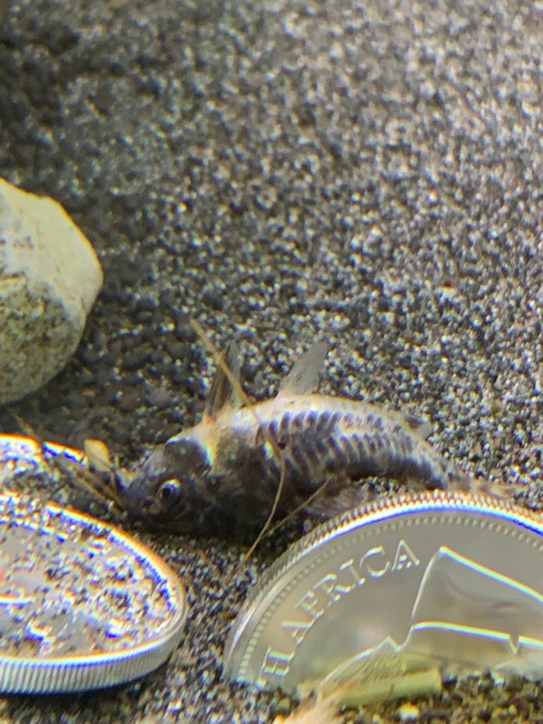 ee772a54-4af0-4d70-bbc8-a1179d1086ff