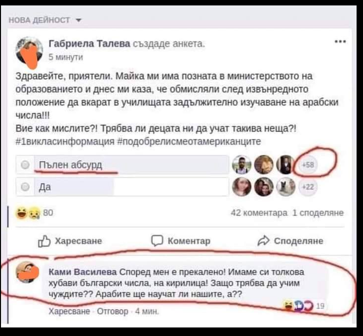 elektorat.png