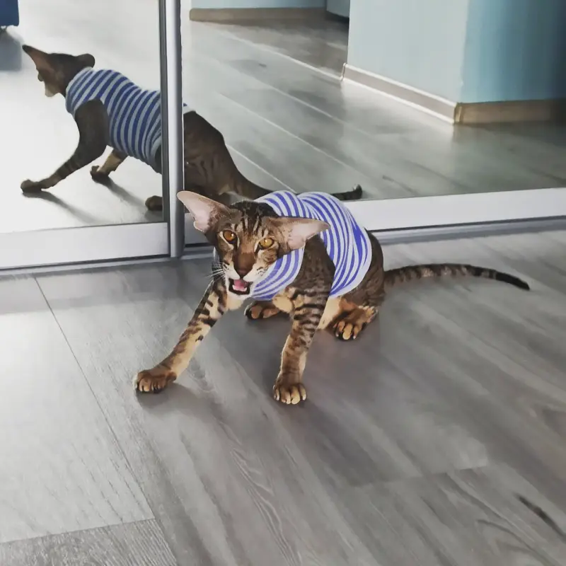 IMG_20230802_073602_150