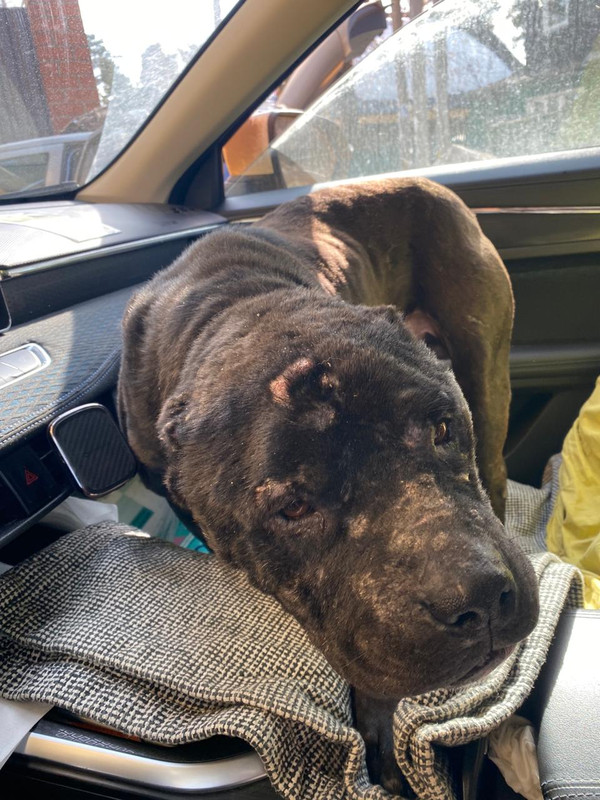 WhatsApp Image 2024-03-25 at 19.48.59 (1)