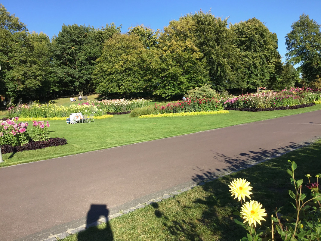 8B085247-1A7B-4EA0-A8DD-0D37DDEBFC22