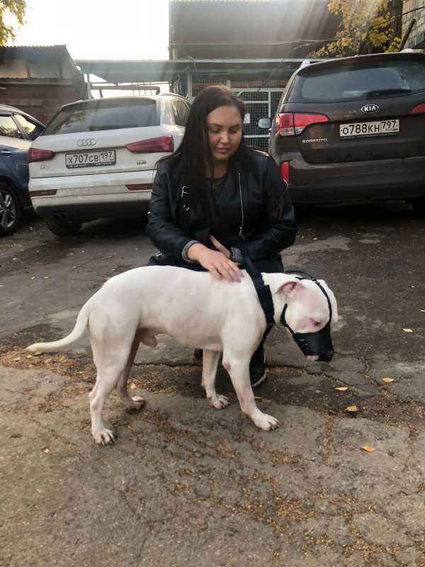 E49A1EB6-E877-405A-A364-C34F0329536B