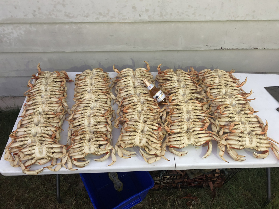 F0453ED6-32DC-4327-A8BE-90E0844126BB