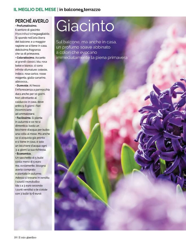 Il Mio Giar Apr-Mag 2023 (3)