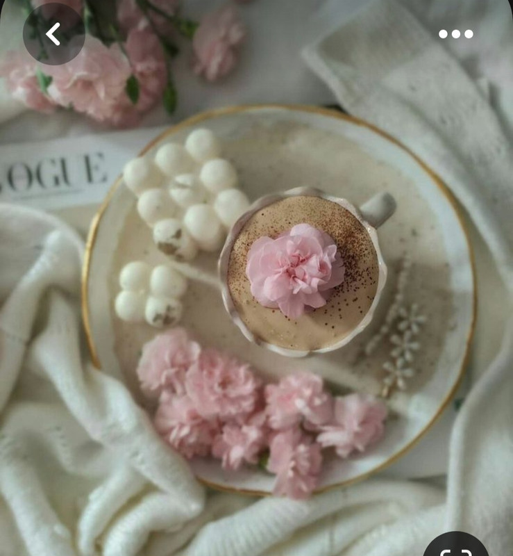 Screenshot_20230722_005505_Pinterest