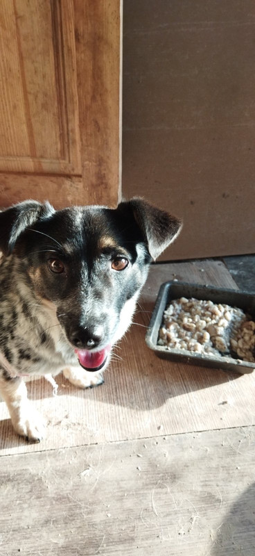 447A4653-2319-46B1-BCF0-267B07AFC86B