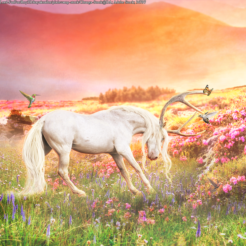 spring-2024.png