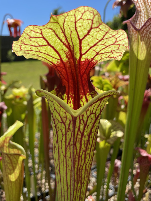 0FF841B1-A01D-4EA8-9ED2-7245F49B309E