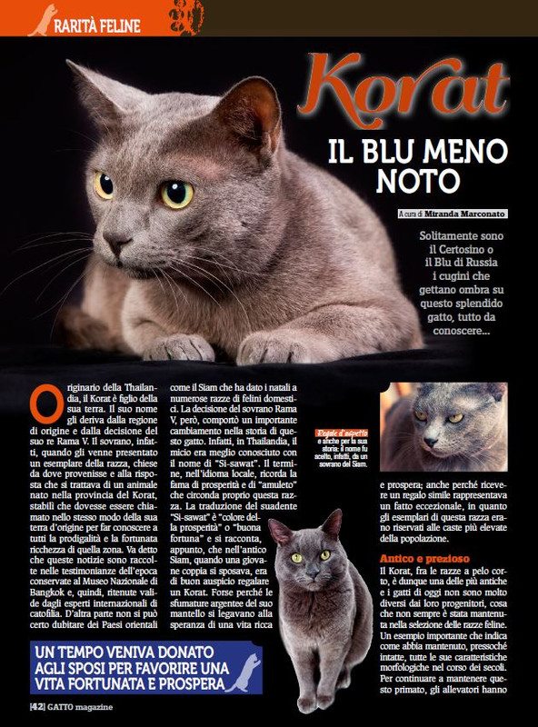 Ga Ma Dic 2017 - Gen 2018 (11)