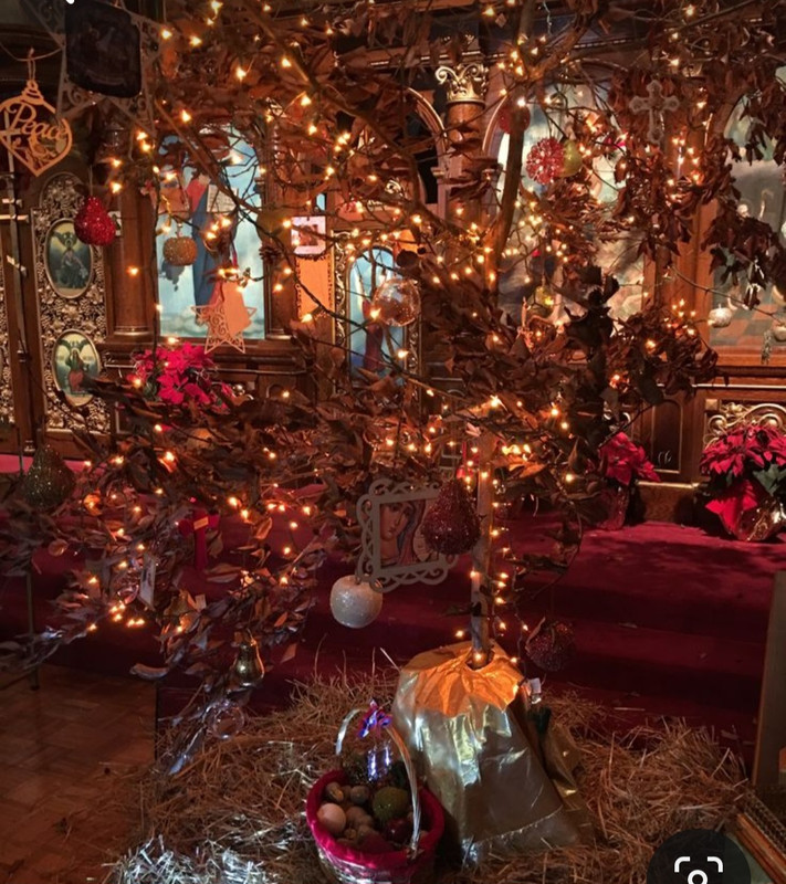 Screenshot_20240105_122146_Pinterest