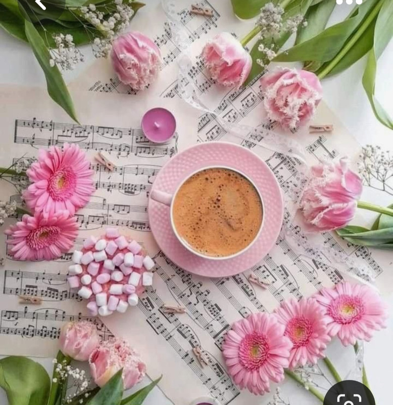 Screenshot_20230508_232307_Pinterest