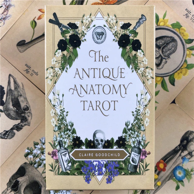 Antique Anatomy Tarot Deck 78 Cards Vintage Collectible