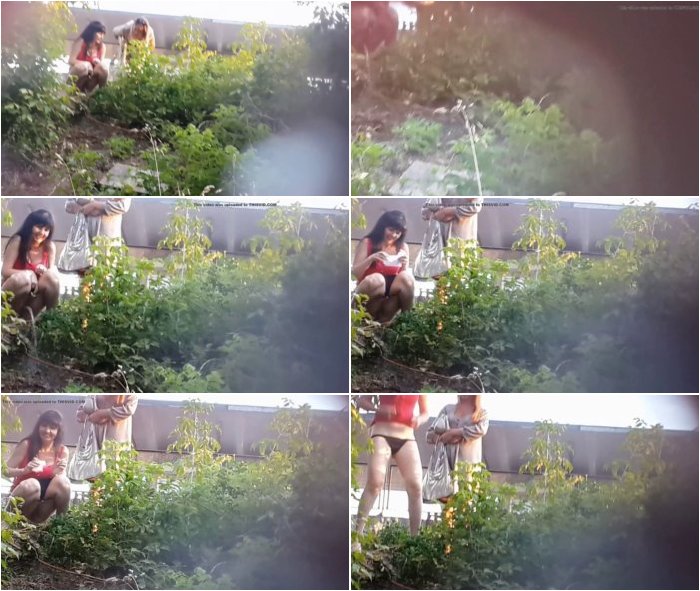 [Image: Desperate-piss-at-festival-3.jpg]