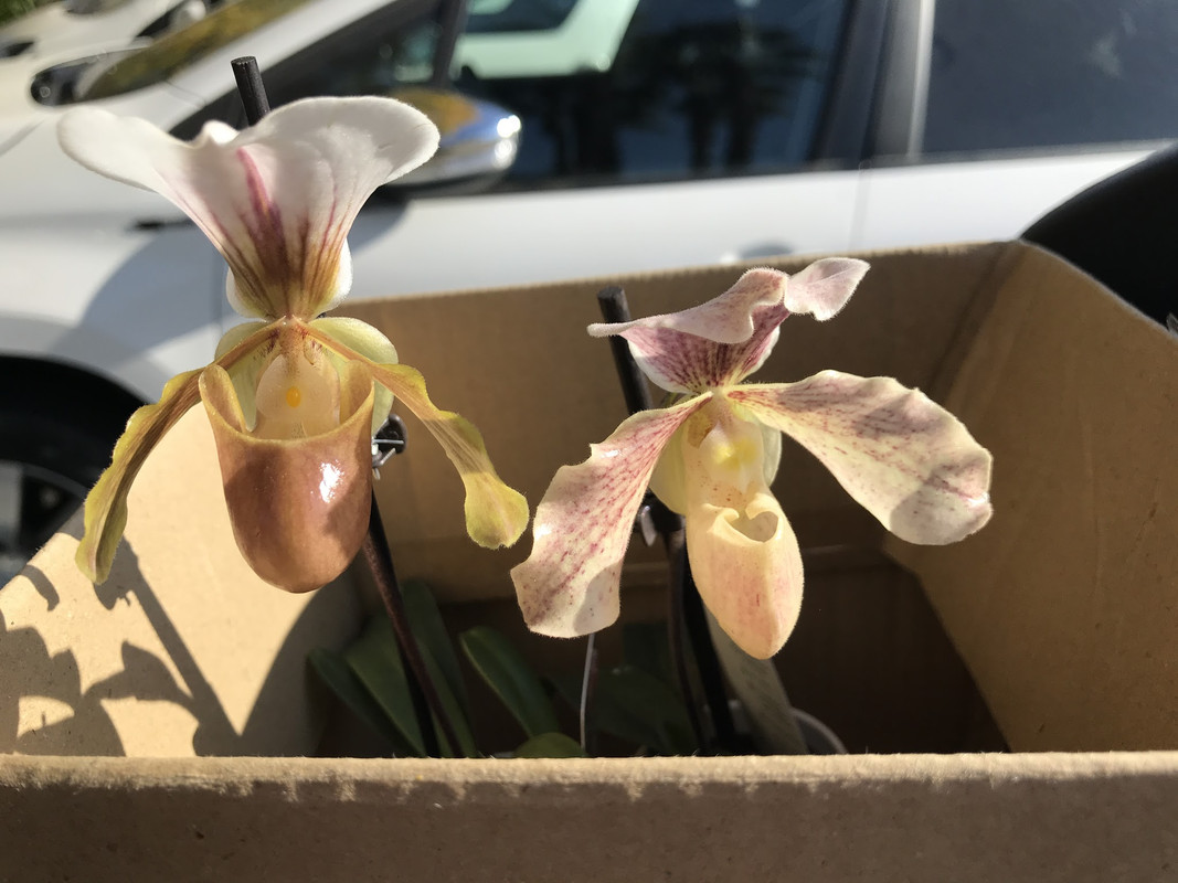 CD597D11-788F-4EAF-842B-AEC3F897E7A1