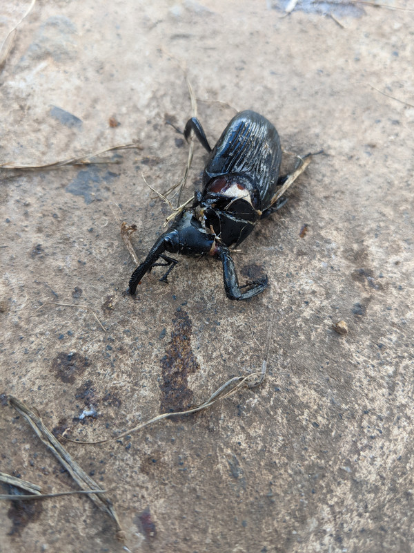 PXL_20211212_203439040