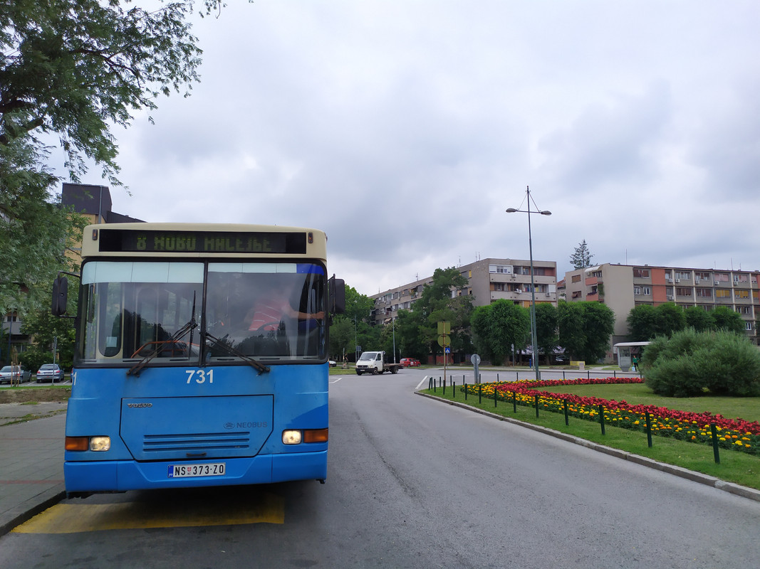 Neobus #731(2)