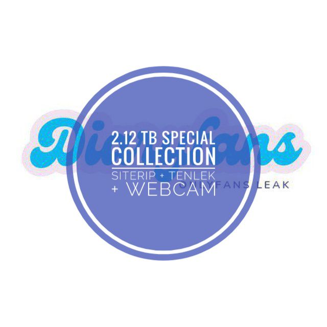 2.12 Tb Special Collection siterip + tenlek + webcam
