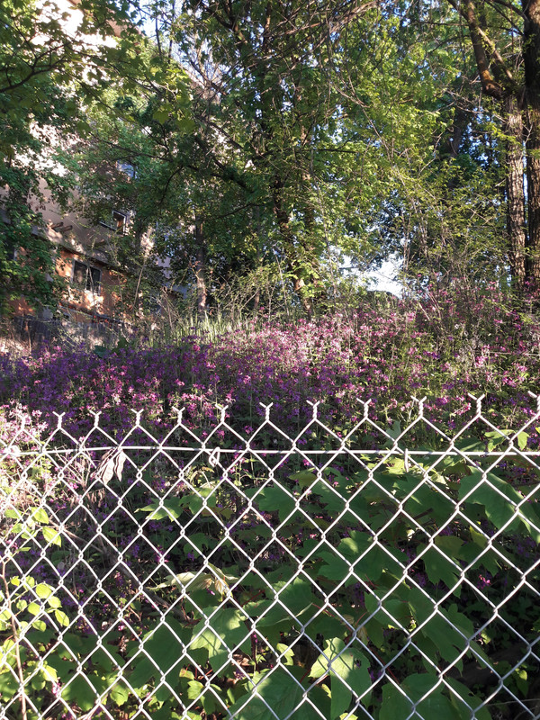 20200507_193125