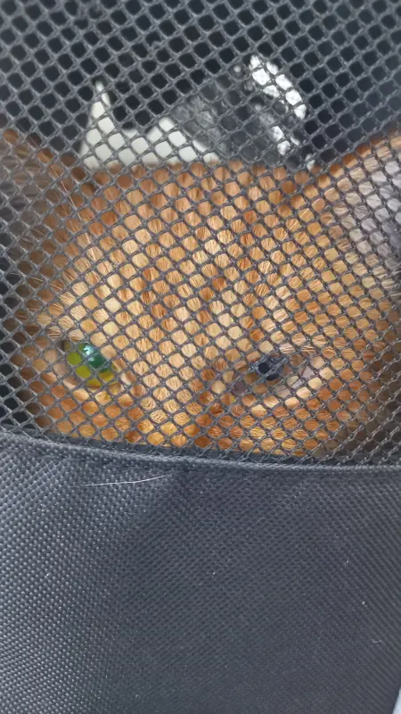 zjhIzj3ceX_7tc6J4Fq_xefFYjjVmYoGKi1jCoFo0HgatkSpa64wupNtPbu7B80ryXdysj2P7M1UbZLlYbAEmJiY