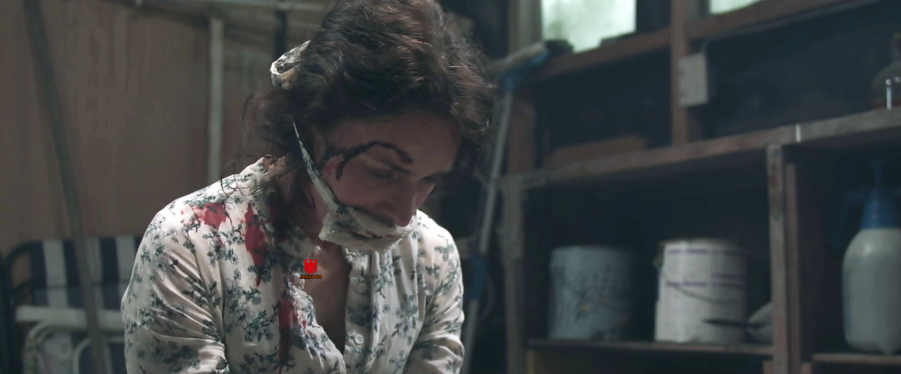 Jodie Hillock 2 Blind Panic 2025