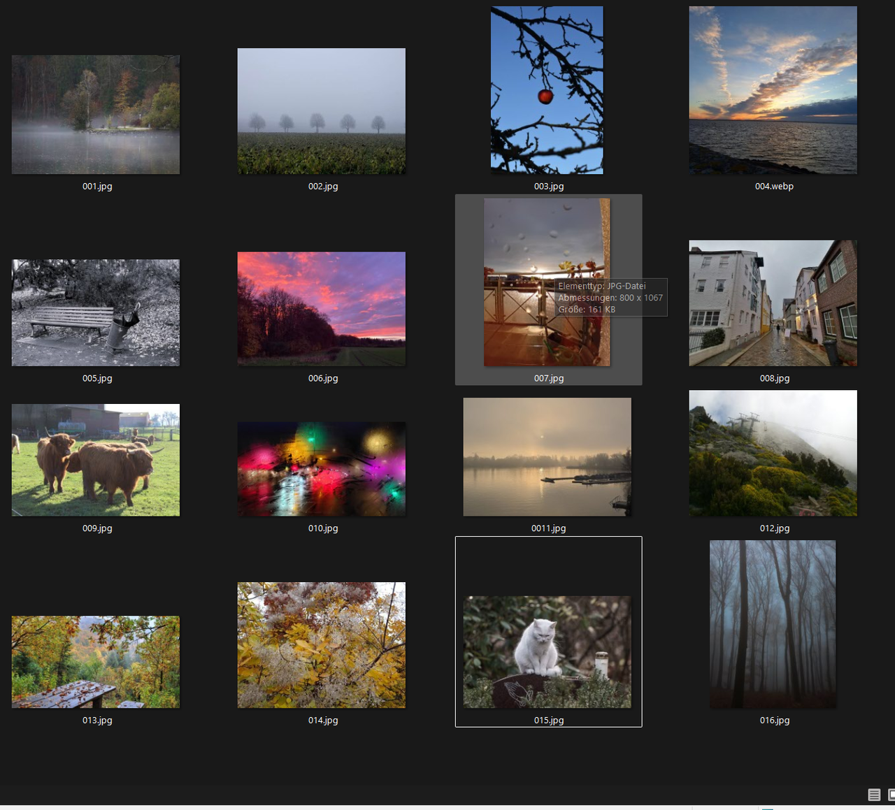 Screenshot 2025 11 23 182119